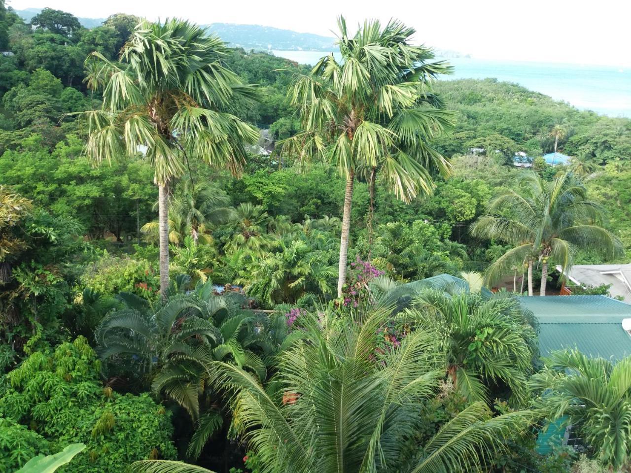 Apartment Espoir Castries Exterior foto